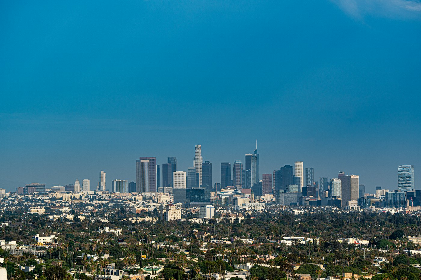 Downtown Los Angeles surrounded by neighborhoods